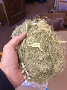 Wisconsin Industrial Hemp